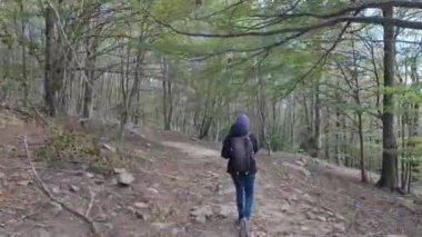 Ormanda doğa yürüyüşü yapan kadın. 