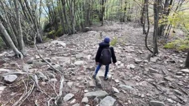 Ormanda doğa yürüyüşü yapan kadın. 