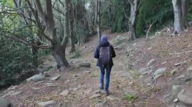 Ormanda doğa yürüyüşü yapan kadın. 