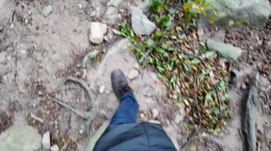 Ormanda doğa yürüyüşü yapan kadın.