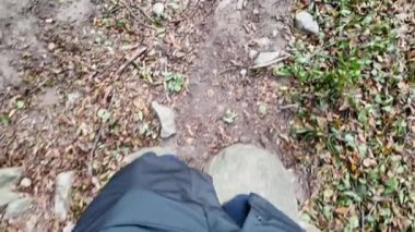 Ormanda doğa yürüyüşü yapan kadın.