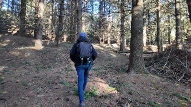 Kadın yürüyüşçü ormanda, doğa yolunda yürüyor.