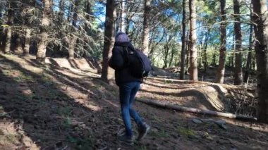 Kadın yürüyüşçü ormanda, doğa yolunda yürüyor.