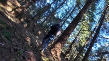 Kadın yürüyüşçü ormanda, doğa yolunda yürüyor.