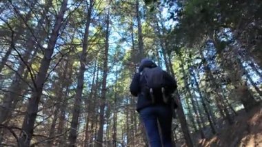 Kadın yürüyüşçü ormanda, doğa yolunda yürüyor.