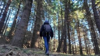 Kadın yürüyüşçü ormanda, doğa yolunda yürüyor.