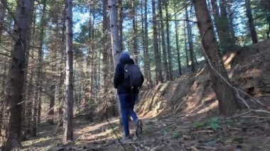 Kadın yürüyüşçü ormanda, doğa yolunda yürüyor.