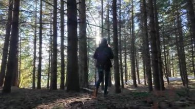 Kadın yürüyüşçü ormanda, doğa yolunda yürüyor.