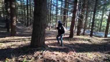Kadın yürüyüşçü ormanda, doğa yolunda yürüyor.