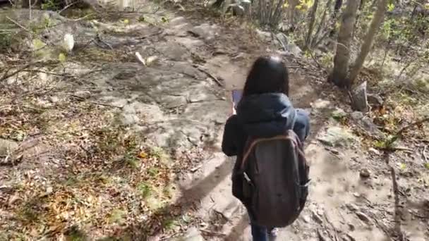 Γυναίκα Πεζοπόρος Smartphone Στο Μονοπάτι Στο Δάσος Φύση — Αρχείο Βίντεο