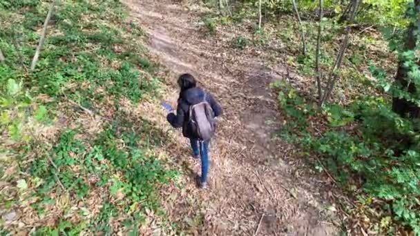 Kobieta Turysta Smartfonem Szlaku Lesie Natura — Wideo stockowe