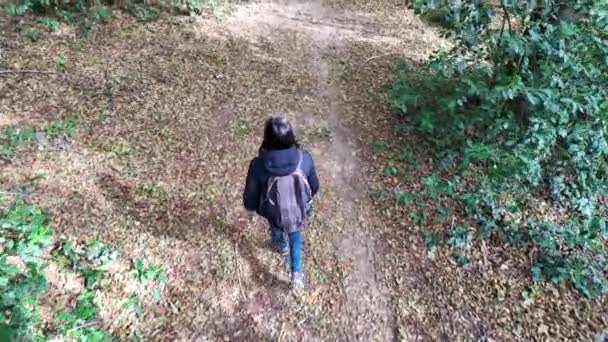 森の中を歩くバックパックと女性のハイカー — ストック動画
