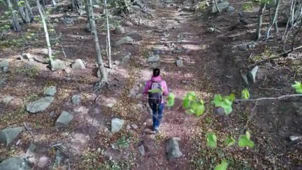 Senderista Mujer Caminando Por Sendero Bosque Naturaleza — Vídeo de stock