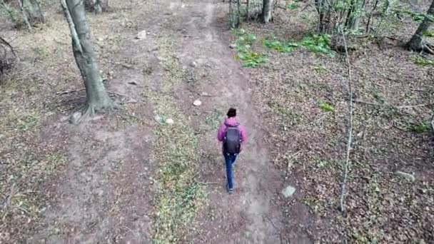 女性のハイカーは森のトレイルを歩いて — ストック動画