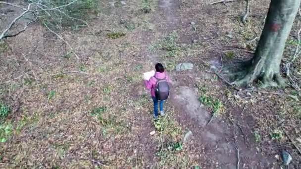 Femme Randonneur Avec Carte Sur Sentier Forêt Nature — Video