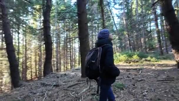 Vrouw Wandelaar Pad Bos Natuur — Stockvideo