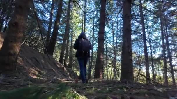 Mulher Caminhante Andando Trilha Floresta Natureza — Vídeo de Stock