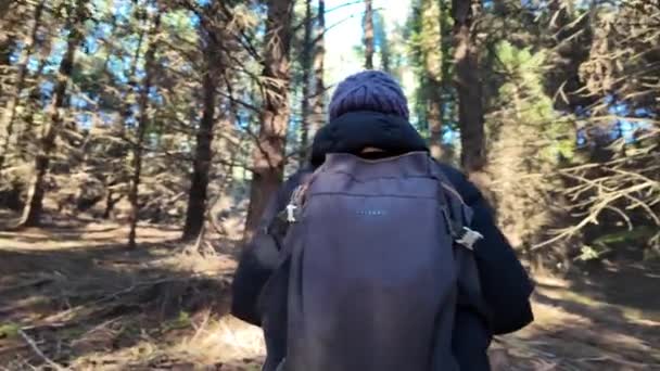 Vrouw Wandelaar Wandelen Pad Het Bos Natuur — Stockvideo