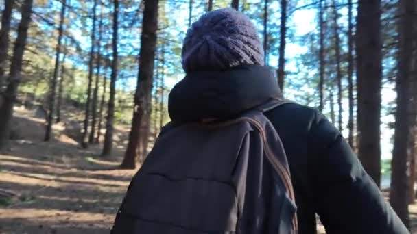 Mulher Caminhante Trilha Floresta Natureza — Vídeo de Stock