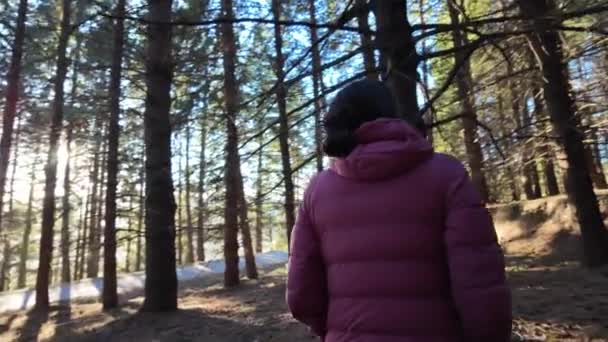 Vrouw Wandelaar Pad Bos Natuur — Stockvideo