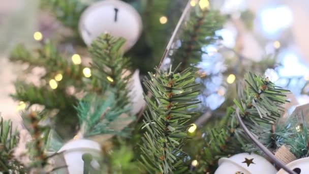 Campane Decorazioni Natalizie Albero Natale — Video Stock