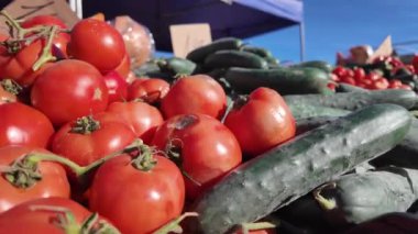 Çiftçi pazarında taze organik sebzeler ve bitkiler. Yerel çiftçi pazarında renkli çiğ sebzeler satılıyor. Dünya konsepti, taze hasat.