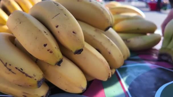 Plátanos Venta Mercado — Vídeo de stock