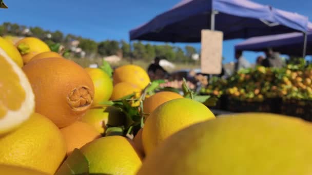 Frutas Orgánicas Frescas Mercado Agricultores Verduras Crudas Coloridas Venta Mercado — Vídeo de stock