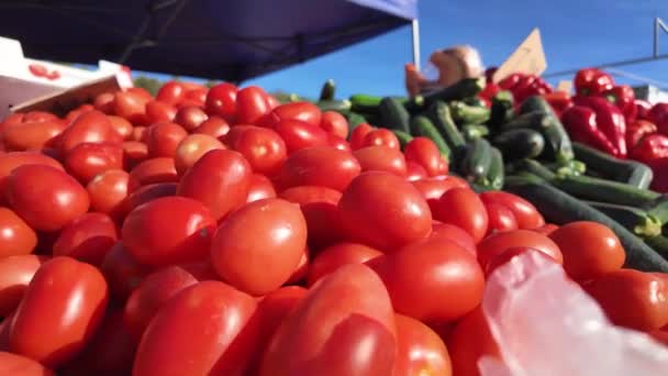 Produtos Hortícolas Orgânicos Frescos Ervas Aromáticas Mercado Dos Agricultores Legumes — Vídeo de Stock