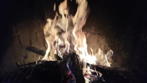 Brinnande Trä Öppen Spis — Stockvideo
