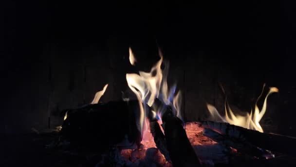 在壁炉中燃烧木材 — 图库视频影像
