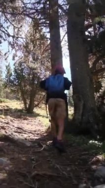 Genç yürüyüşçü yaz ormanlarında dağ yolunda yürüyor.