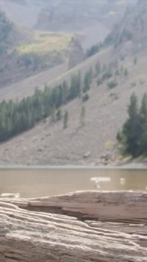 Erkek yürüyüşçü dağlarda yürüyor.