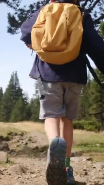 Sırt çantalı çocuklar yaz ormanlarında dağ yolunda yürüyorlar.