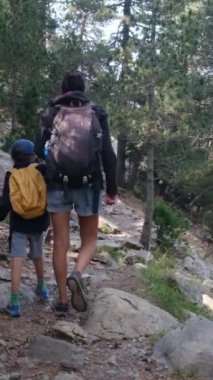 Genç yürüyüş meraklılarıyla güneşli mevsimlerin tadını çıkarın. Oğullarıyla dağlarda yürüyüş yapan bir kadın. 