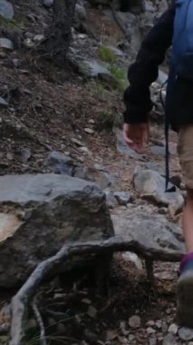 Yaz ormanlarındaki dağ patikasındaki oğlanın arka görüntüsü