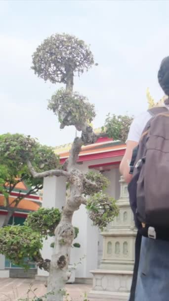 Mujer Con Mochila Caminando Pagoda Cultura Budista Sudeste Asiático — Vídeo de stock