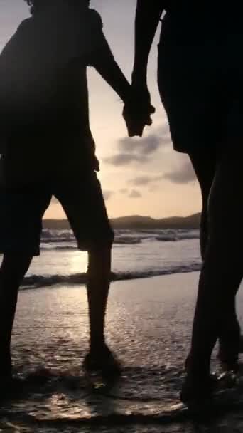 Sylwetki Matki Jej Synów Bawiących Się Spokojnej Plaży — Wideo stockowe
