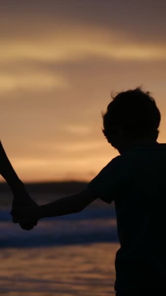 Experimente Cálida Esencia Conexión Familiar Como Silueta Una Madre Hijo — Vídeo de stock