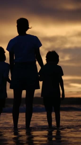 Zažijte Srdcervoucí Esenci Rodinného Spojení Jako Siluetu Matky Jejích Synů — Stock video