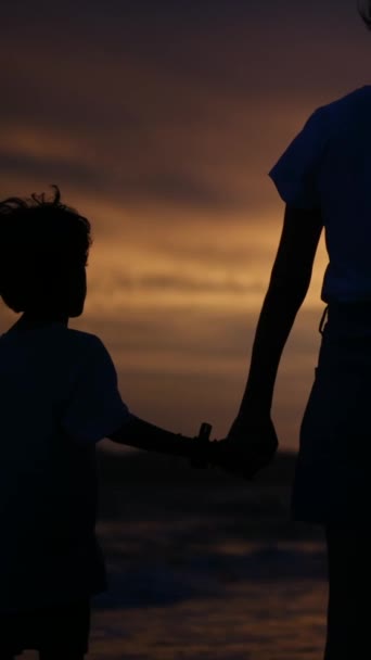 在宁静的海滩上 在迷人的落日的映衬下 母亲和儿子手牵着手 感受着家庭联系的温馨本质 — 图库视频影像