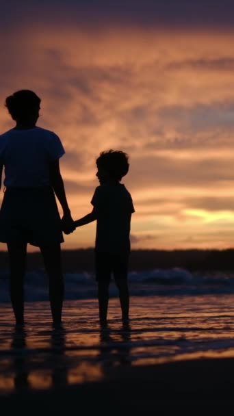 Experimente Cálida Esencia Conexión Familiar Como Silueta Una Madre Hijo — Vídeos de Stock