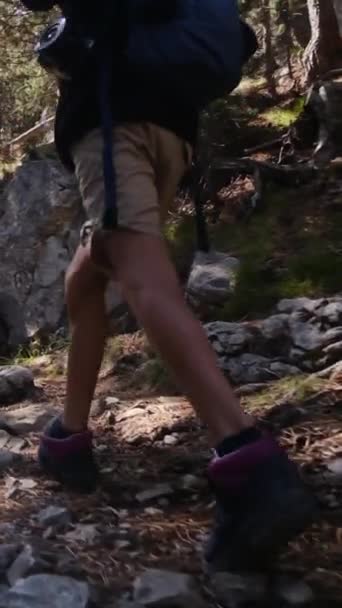 Giovane Escursionista Piedi Sul Sentiero Montagna Nella Foresta Estiva — Video Stock