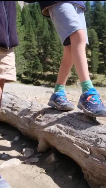 Chłopiec Pomaga Bratu Chodzić Bagażniku Górach — Wideo stockowe