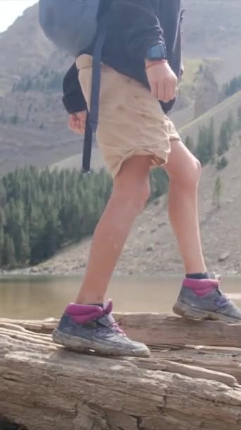 Мальчик Турист Ходить Стволу Горах — стоковое видео