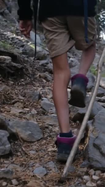 숲에서 산책로에 소년의 뒤보기 — 비디오