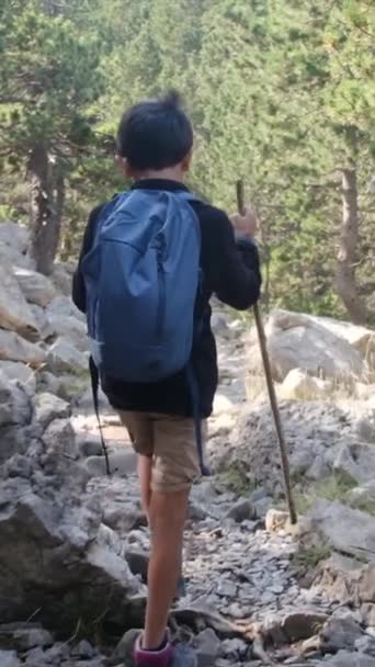 Giovane Escursionista Piedi Sul Sentiero Montagna Nella Foresta Estiva — Video Stock