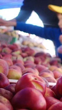 Anne ve çocuk pazarda şeftali seçiyor.