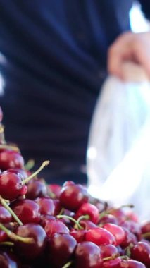 Piyasada kırmızı kiraz seçen kadın 