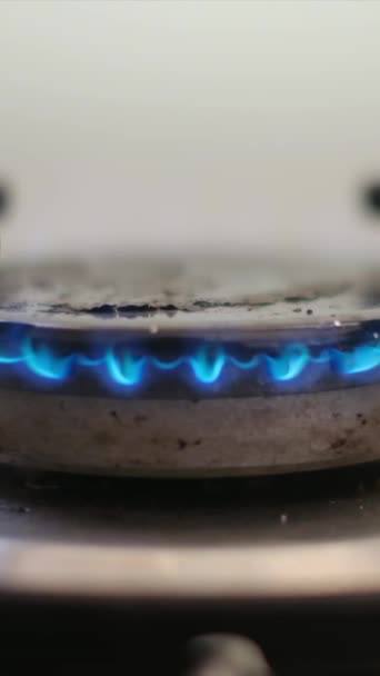 Blue Natural Gas Flames Cámara Lenta Cerca — Vídeo de stock